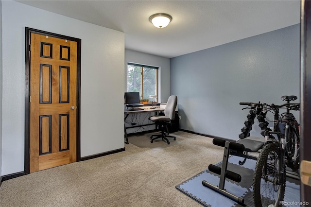 234 Bailey Dr, Bailey, CO 80421 - office area with carpet floors and baseboards