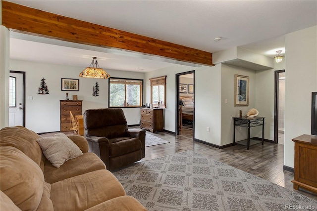 234 Bailey Dr, Bailey, CO 80421 - living area with wood finished floors, baseboards, and beam ceiling