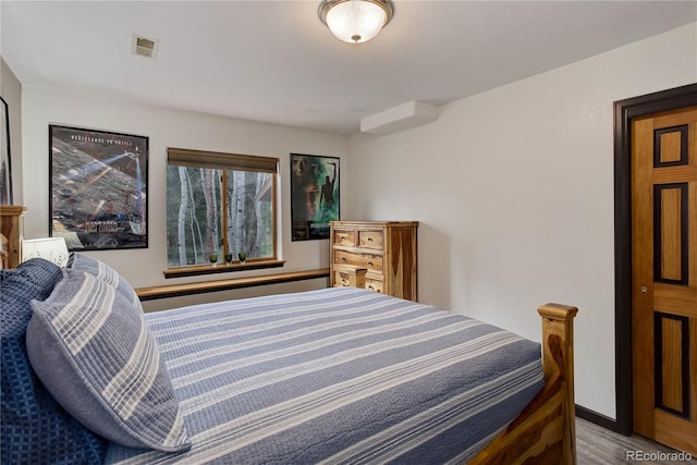 234 Bailey Dr, Bailey, CO 80421 - bedroom featuring wood finished floors