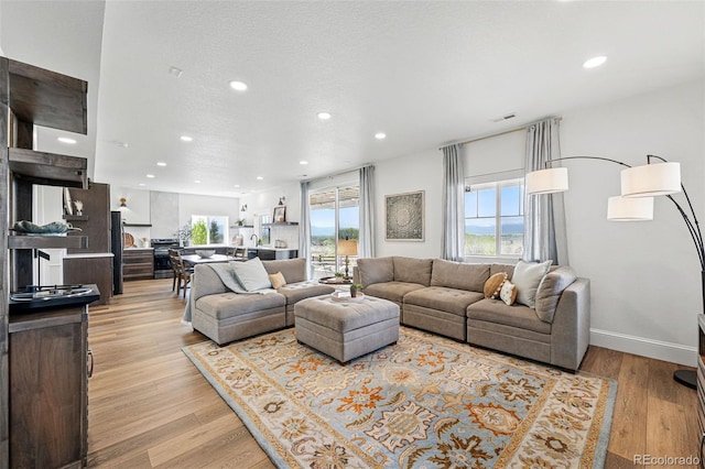 1601 Mariah Ln, Erie, CO 80516 - living room with recessed lighting, light wood finished floors, and baseboards