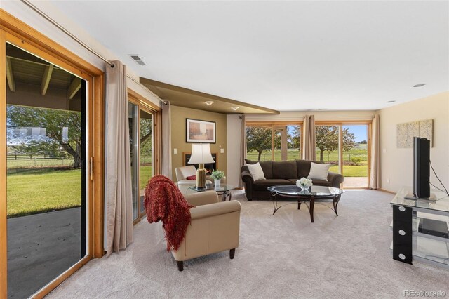 15132 Pecos St, Broomfield, CO 80023 - living area with light colored carpet