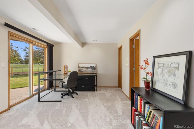 15132 Pecos St, Broomfield, CO 80023 - office area with carpet and baseboards