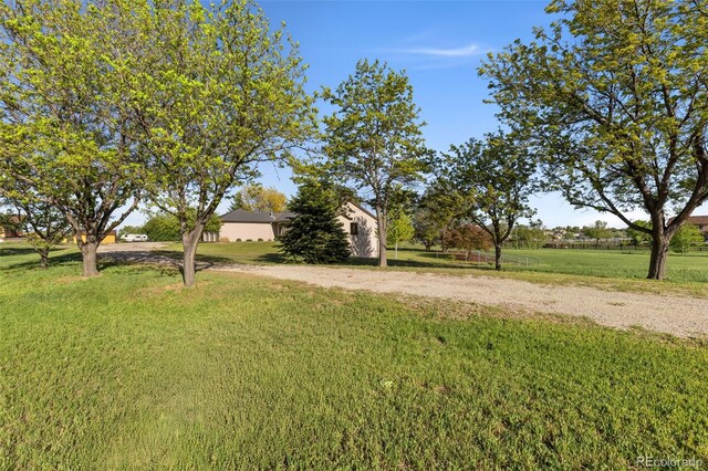 15132 Pecos St, Broomfield, CO 80023 - view of green lawn