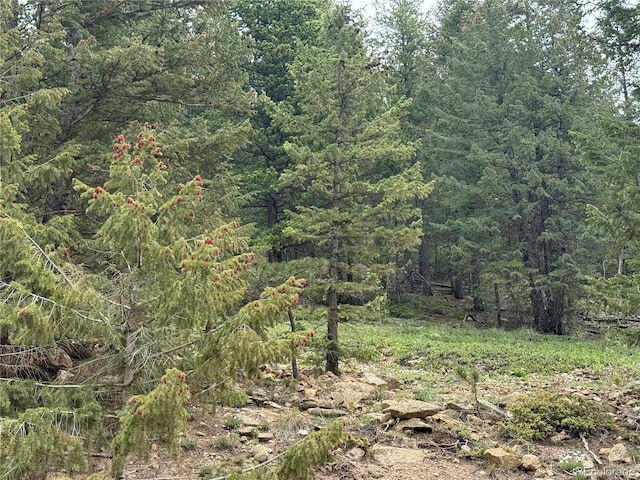 1700 Dory Hill Rd, Black Hawk, CO 80422