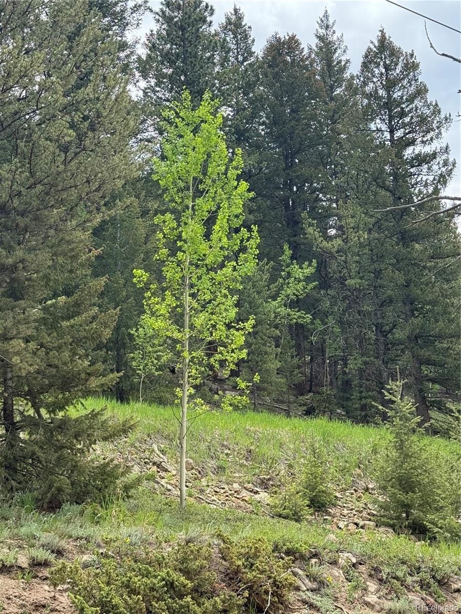 1700 Dory Hill Rd, Black Hawk, CO 80422
