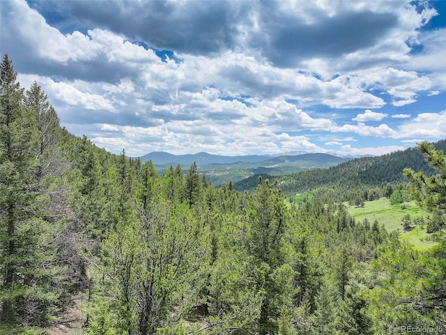 1700 Dory Hill Rd, Black Hawk, CO 80422 - photo 2