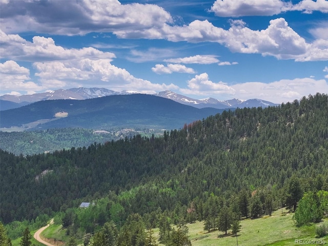 1700 Dory Hill Rd, Black Hawk, CO 80422 - photo 5