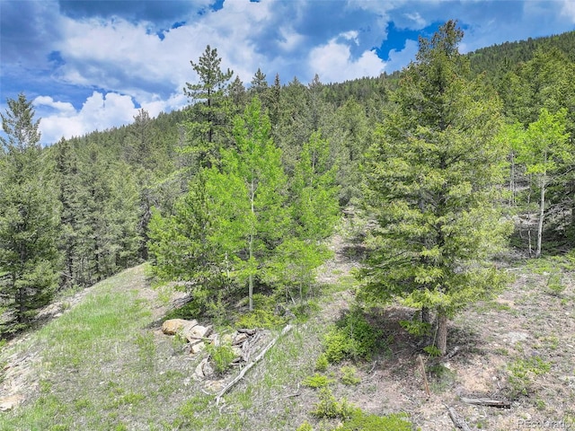 1700 Dory Hill Rd, Black Hawk, CO 80422 - photo 6