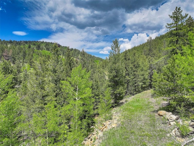 1700 Dory Hill Rd, Black Hawk, CO 80422 - photo 7