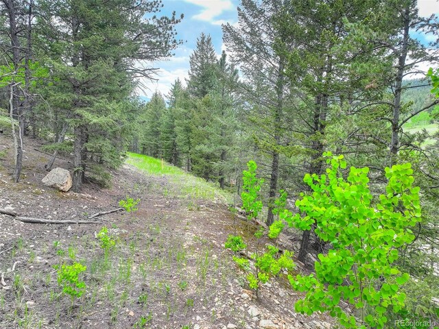 1700 Dory Hill Rd, Black Hawk, CO 80422 - photo 8