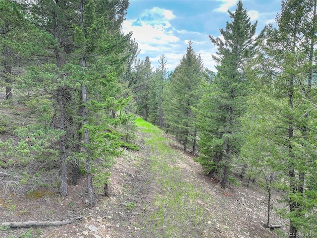 1700 Dory Hill Rd, Black Hawk, CO 80422 - photo 9