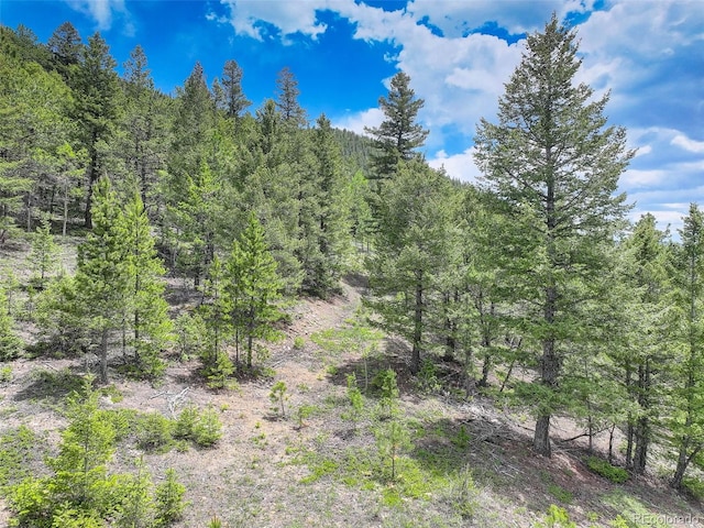 1700 Dory Hill Rd, Black Hawk, CO 80422 - photo 10