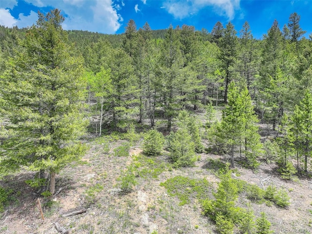 1700 Dory Hill Rd, Black Hawk, CO 80422 - photo 11