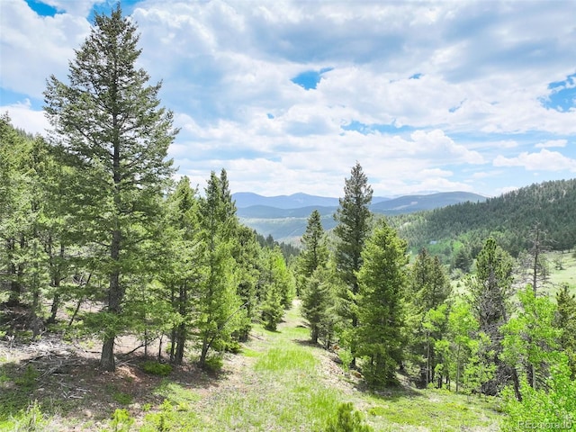 1700 Dory Hill Rd, Black Hawk, CO 80422 - photo 12
