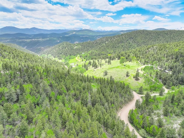 1700 Dory Hill Rd, Black Hawk, CO 80422 - photo 15
