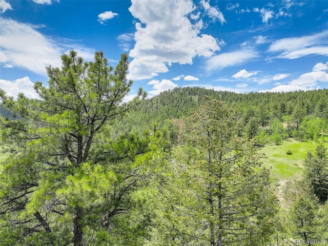 1700 Dory Hill Rd, Black Hawk, CO 80422 - photo 16