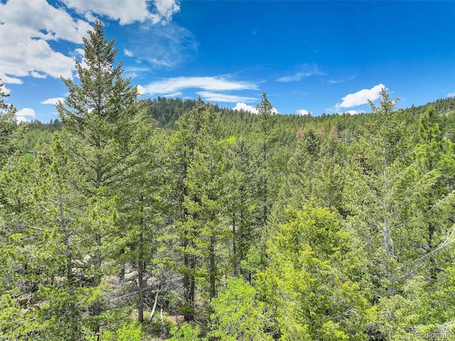 1700 Dory Hill Rd, Black Hawk, CO 80422 - photo 17