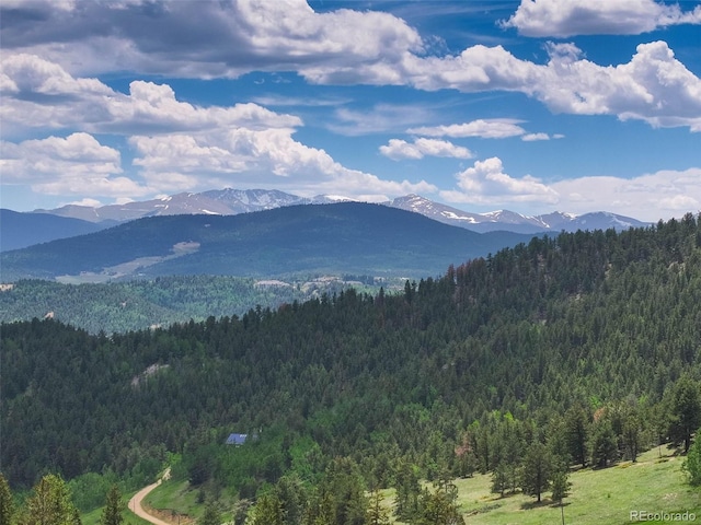1700 Dory Hill Rd, Black Hawk, CO 80422 - photo 19