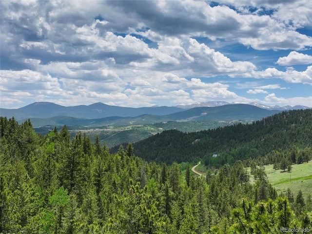 1700 Dory Hill Rd, Black Hawk, CO 80422 - photo 20