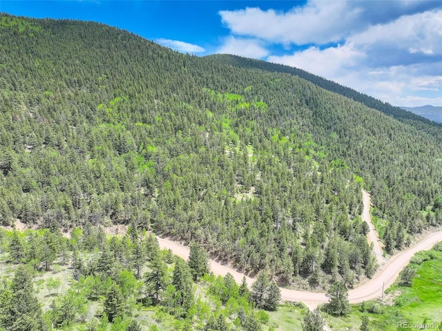 1700 Dory Hill Rd, Black Hawk, CO 80422 - photo 25