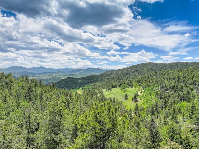 1700 Dory Hill Rd, Black Hawk, CO 80422 - photo 21