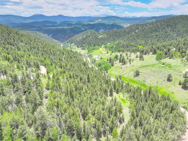 1700 Dory Hill Rd, Black Hawk, CO 80422 - photo 23