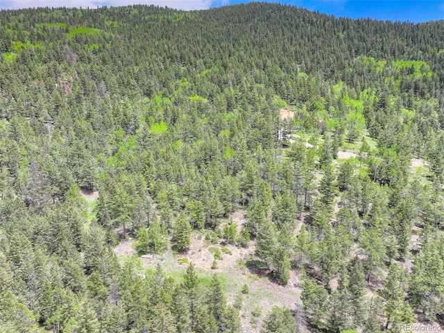 1700 Dory Hill Rd, Black Hawk, CO 80422 - photo 26