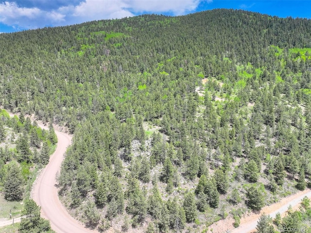 1700 Dory Hill Rd, Black Hawk, CO 80422 - photo 27