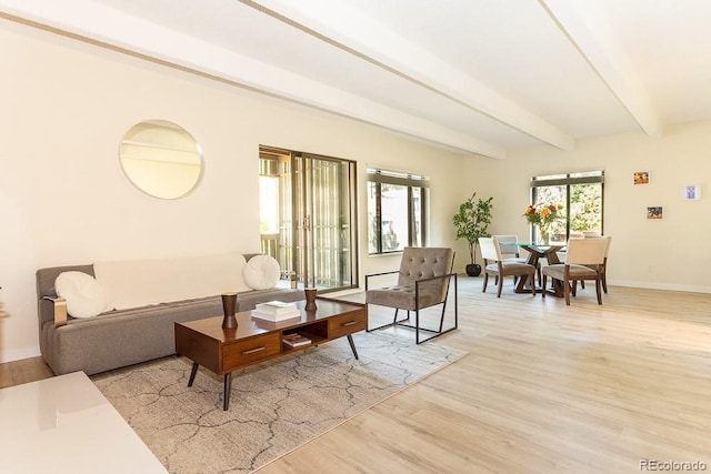 2525 S Dayton Way Unit 1201, Denver, CO 80231 - living area with light wood-type flooring and beamed ceiling