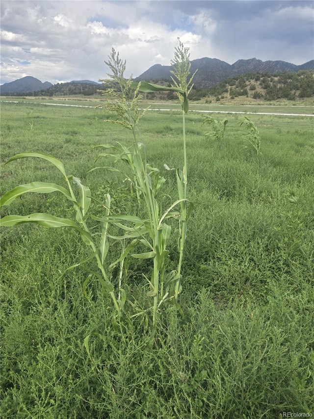 view of mountain feature with a rural view