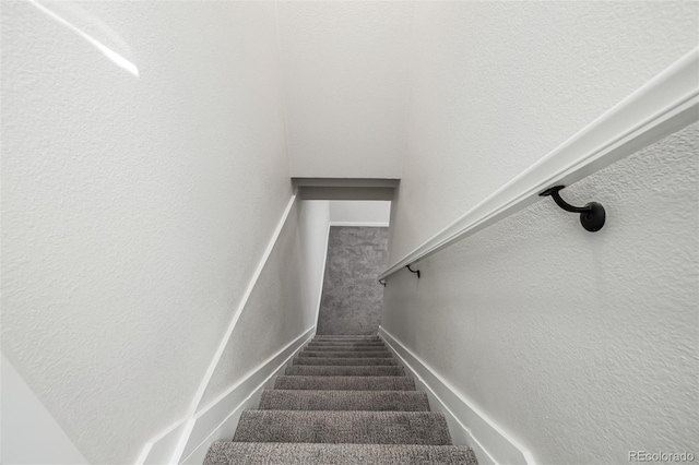 stairs with carpet floors