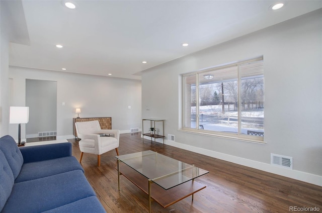 living room featuring hardwood / wood-style flooring