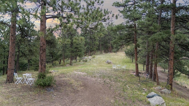 33077 Alta Vista Dr, Evergreen, CO 80439 - photo 45