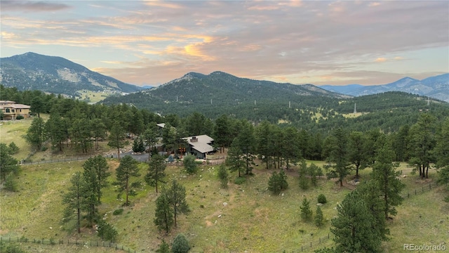 33077 Alta Vista Dr, Evergreen, CO 80439 - photo 48