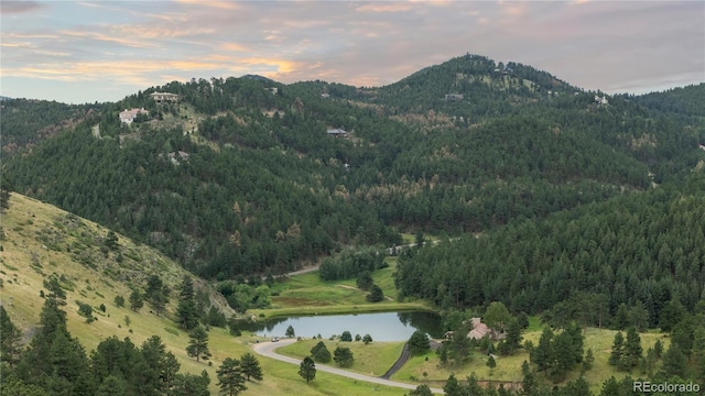 33077 Alta Vista Dr, Evergreen, CO 80439 - photo 50