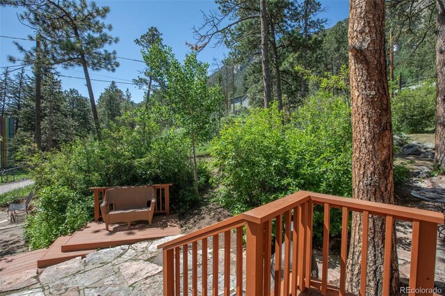 10225 Ute Pass Ave, Green Mountain Falls, CO 80819 - photo 10