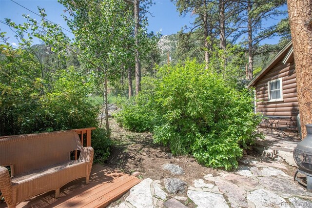 10225 Ute Pass Ave, Green Mountain Falls, CO 80819 - photo 11