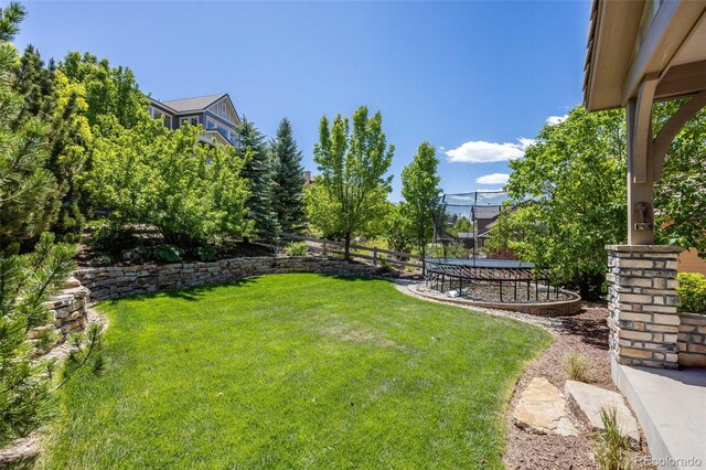 10590 Soulmark Way, Highlands Ranch, CO 80126 - view of yard with a trampoline