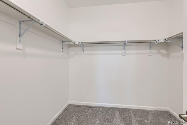 spacious closet featuring carpet