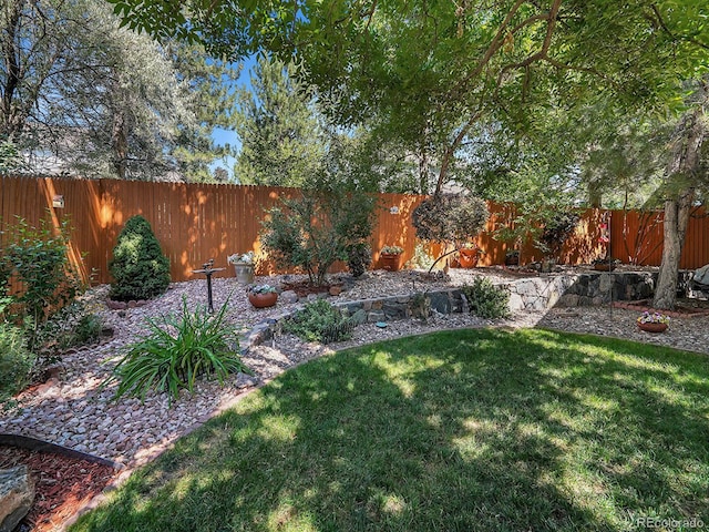 view of yard with a fenced backyard