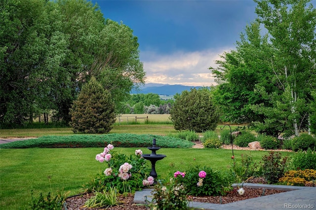 385 Baxter Farm Ln, Erie, CO 80516 - photo 2