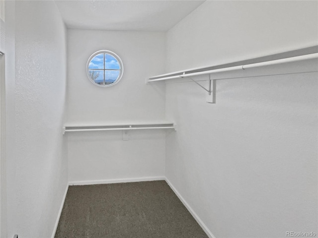 9115 W Hinsdale Pl, Littleton, CO 80128 - walk in closet featuring carpet