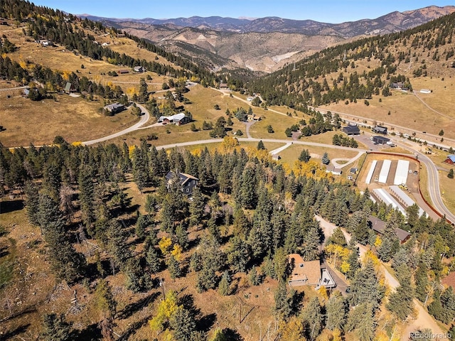 birds eye view of property featuring a mountain view