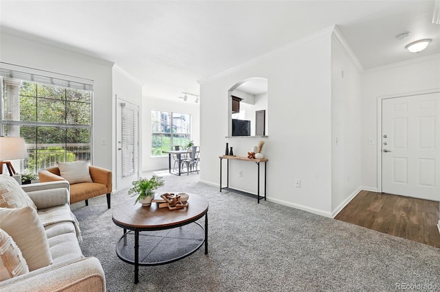 carpeted living room featuring arched walkways, crown molding, baseboards, and wood finished floors