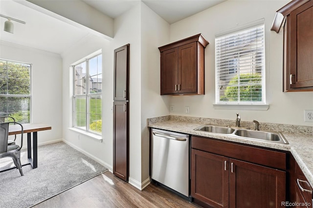 kitchen with stainless steel dishwasher, a sink, dark wood finished floors, and plenty of natural light