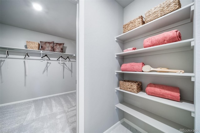 3879 N Shawnee St, Aurora, CO 80019 - walk in closet featuring carpet floors