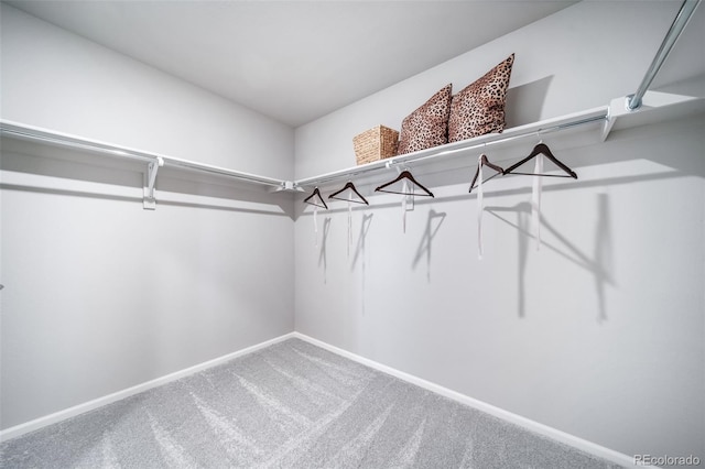 3879 N Shawnee St, Aurora, CO 80019 - walk in closet with carpet floors