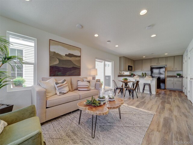 13169 E 103rd Pl, Commerce City, CO 80022 - photo 7