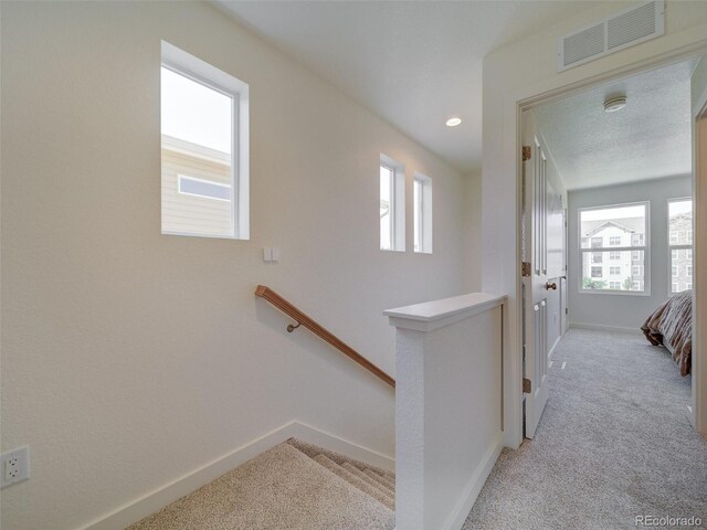 13169 E 103rd Pl, Commerce City, CO 80022 - photo 11