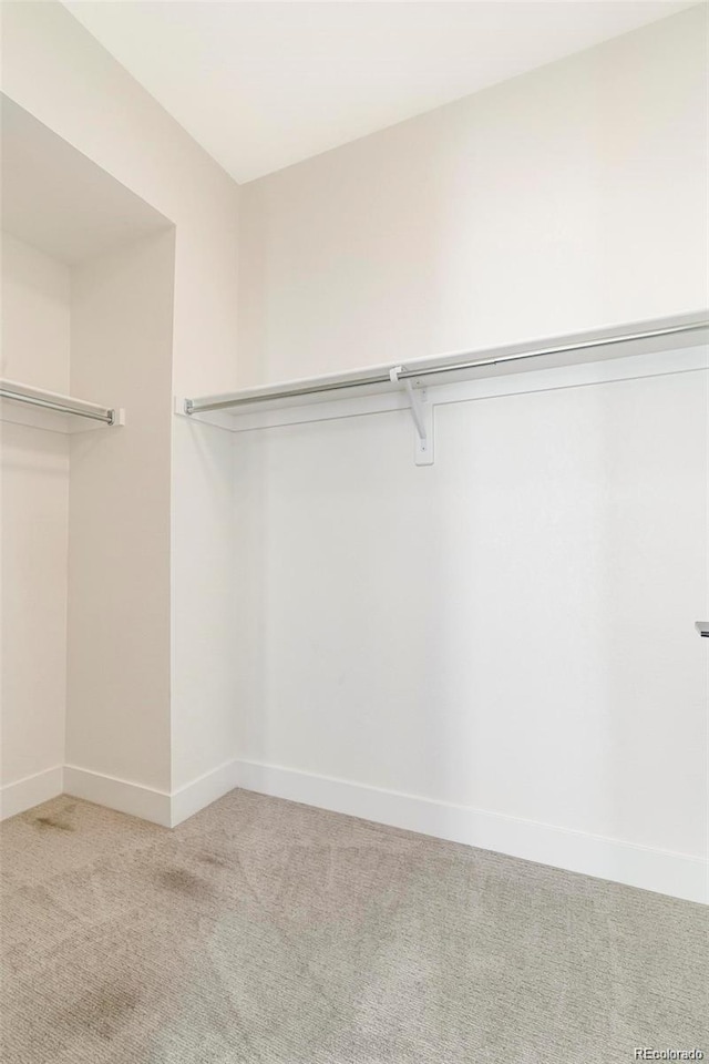 walk in closet with light colored carpet